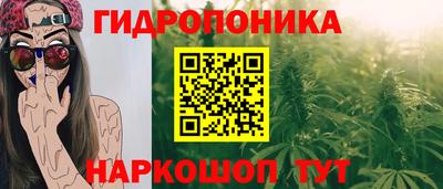 mix Кингисепп